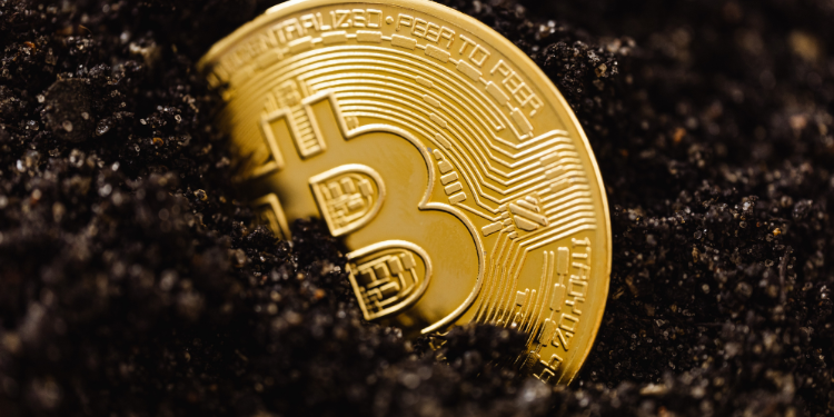 corporate treasury Bitcoin adoption after ETF market maturity: risks